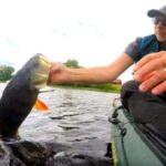 Profile photo of Jan Ekebjär