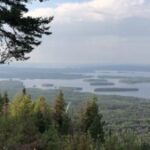 Profile photo of Unknown Member